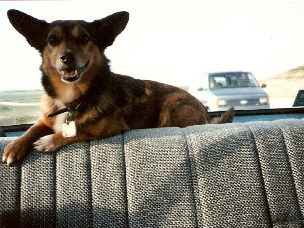 stacey-lynn-smith-obituary-gallery-71