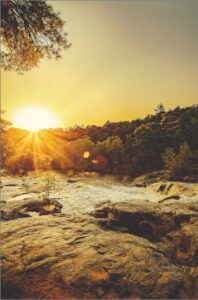 cremation services in Gilbert, AZ