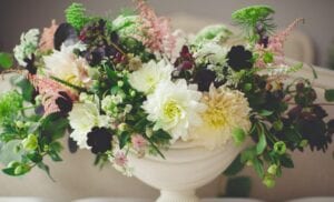 cremation service in Apache Junction, AZ