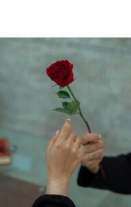 cremation services in Apache Junction, AZ