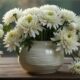 cremation services in Mesa, AZ