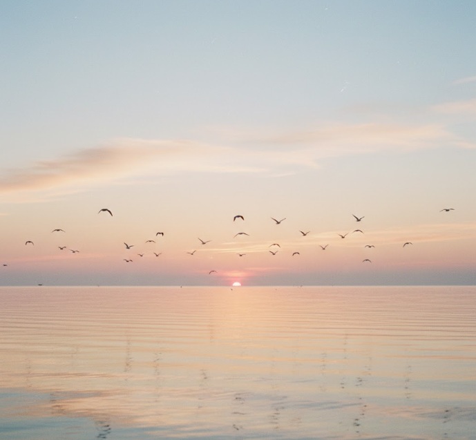 cremation services in Gilbert, AZ