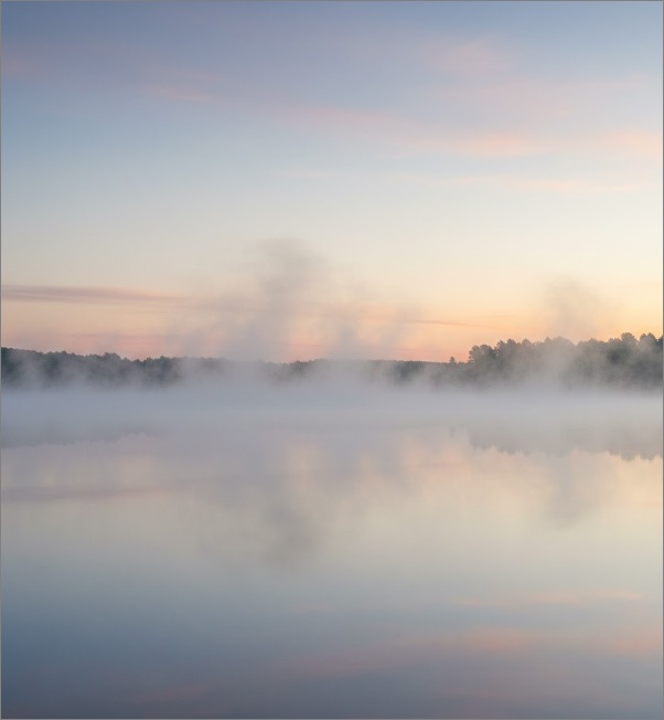 cremation services in Apache Junction, AZ